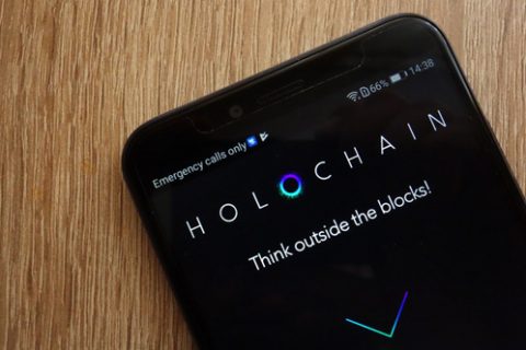 holo