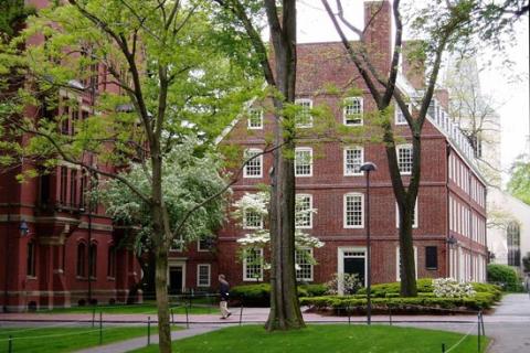 harvard