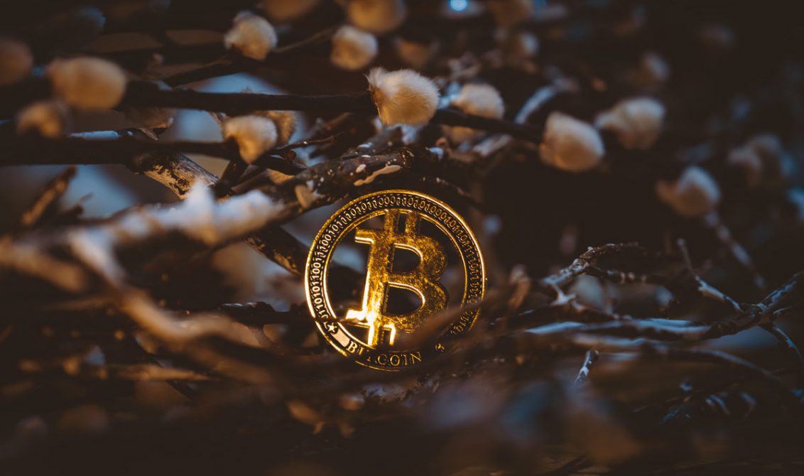 bitcoin