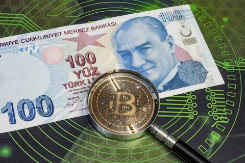 bitcoin türk lirası