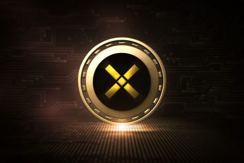 pundi-x