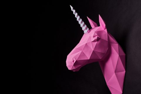 unicorn (1)