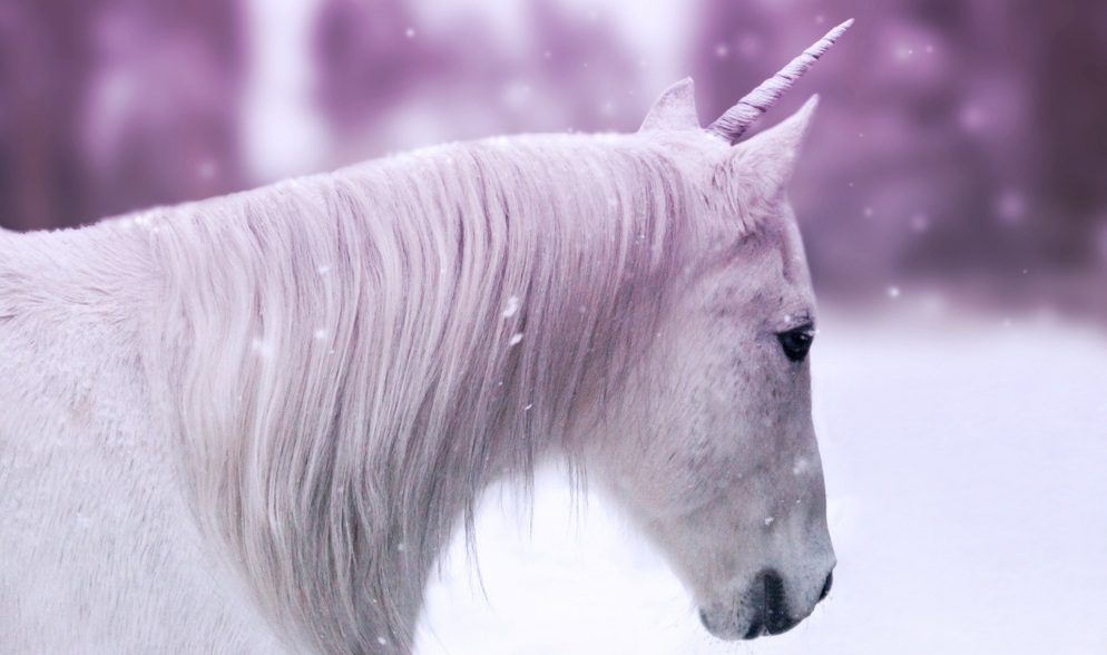 unicorn