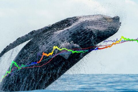 bitcoin-stok-akis