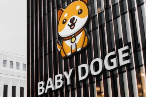 baby doge coin