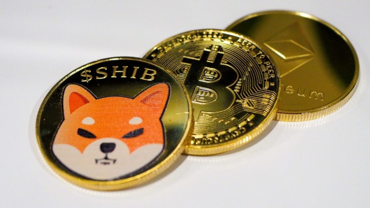 shiba coin neden dusuyor shib fiyatinda dususun nedeni