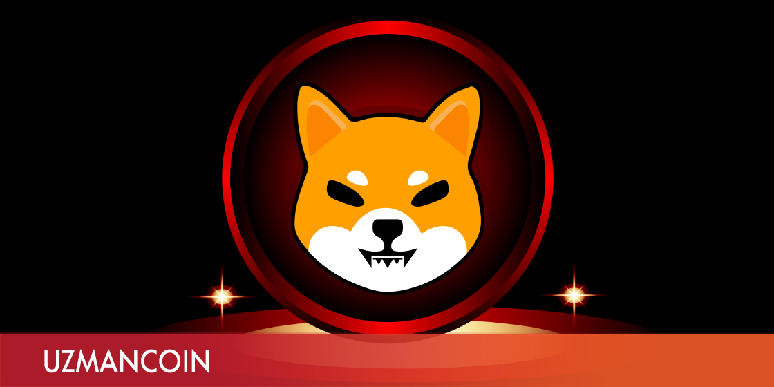 shiba da gozler shiboshi lere cevrildi milyon dolarlik yakim gerceklesebilir shiba da gozler shiboshi lere cevrildi milyon dolarlik yakim gerceklesebilir