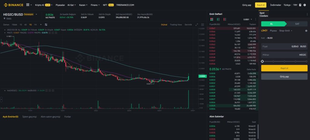 Hegic Coin Binance