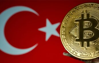 bitcoin-turkiye-1-346x220.jpg