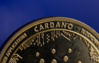 cardano-ada-19-346x220.jpg