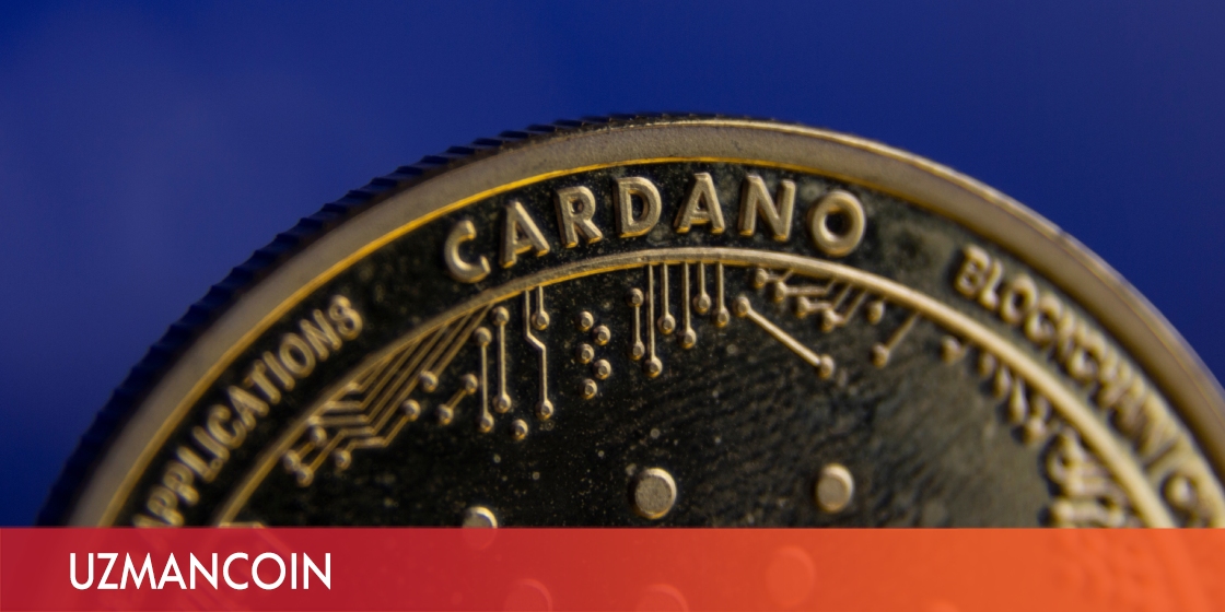 Cardano’da gözler şubat ayına çevrildi: Hazırlıklar bitiyor