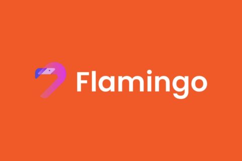 flamingo finance nedir flm coin nedir