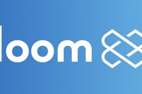 loom coin nedir