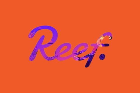 reef coin nedir