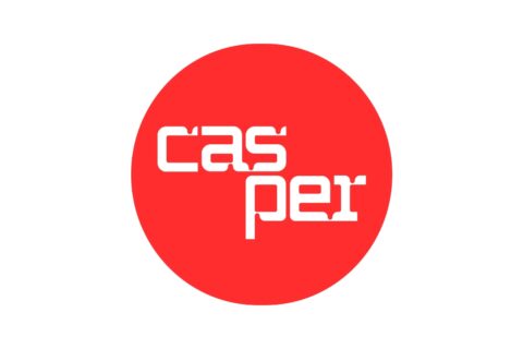 casper cspr coin nedir