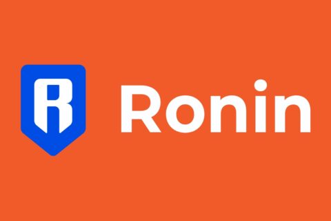 ronin coin nedir