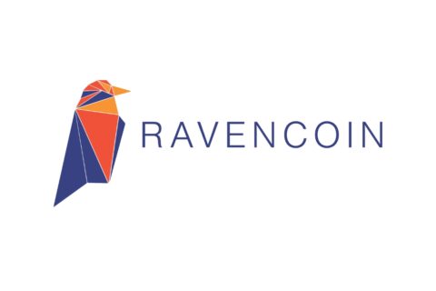 rvn coin nedir