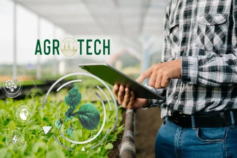 agrotech kripto borsası