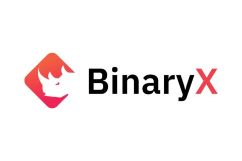 bnx coin nedir binaryx