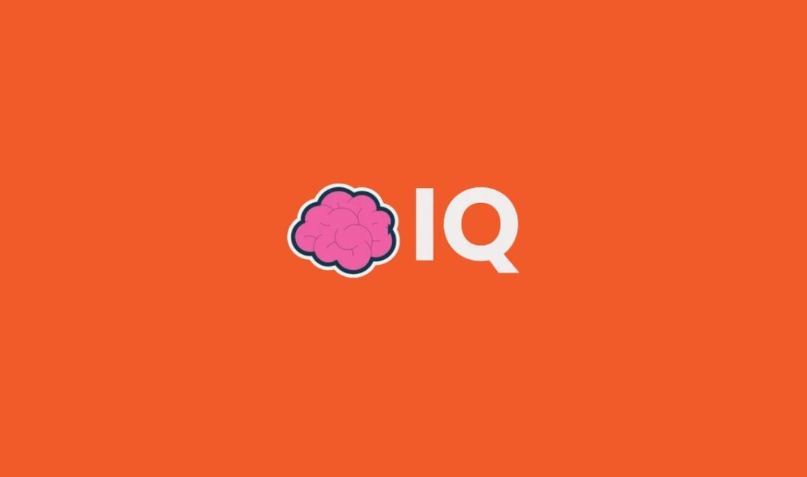 iq coin nedir