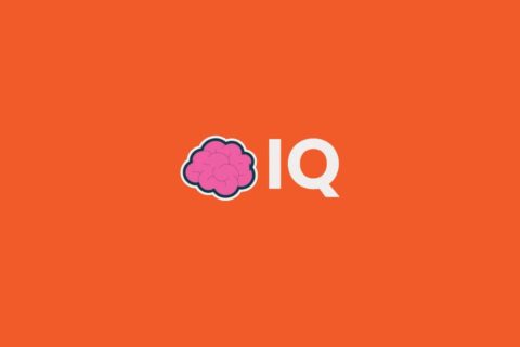 iq coin nedir