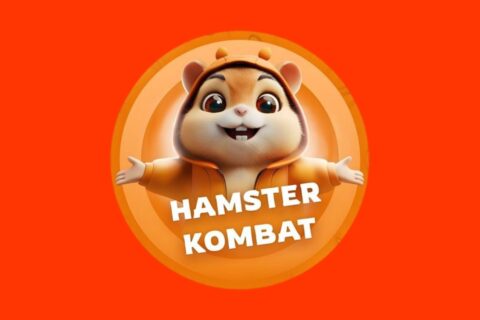 hmstr coin nedir hamster kombat nedir