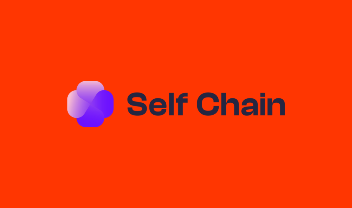 slf coin nedir self chain nedir