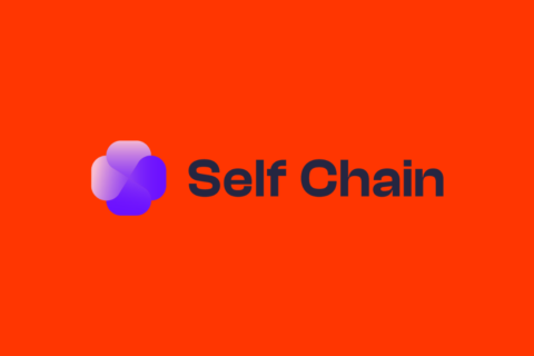 slf coin nedir self chain nedir