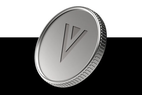 xvg coin nedir