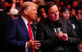 donald-trump-elon-musk-346x220.jpg