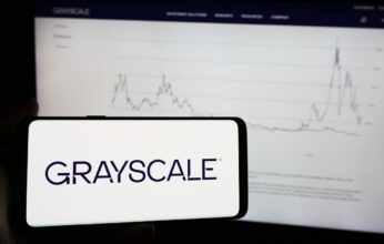grayscale-7-346x220.jpg