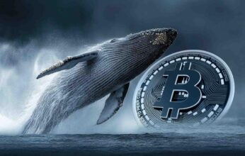 bitcoin-balinasi-346x220.jpg