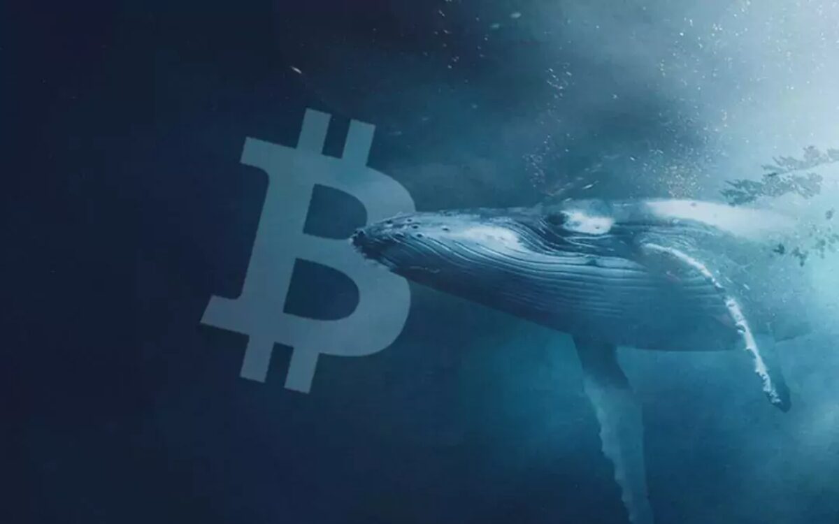 balina bitcoin 1