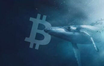balina-bitcoin-1-346x220.jpg