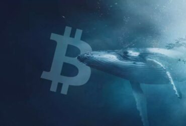 balina-bitcoin-1-370x250.jpg
