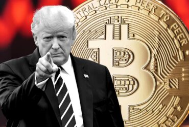 trumppp-1-370x250.jpg