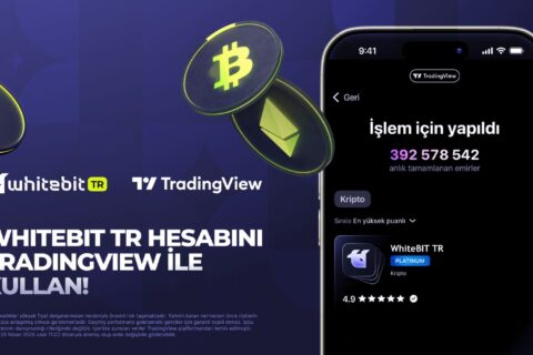 1780580016692